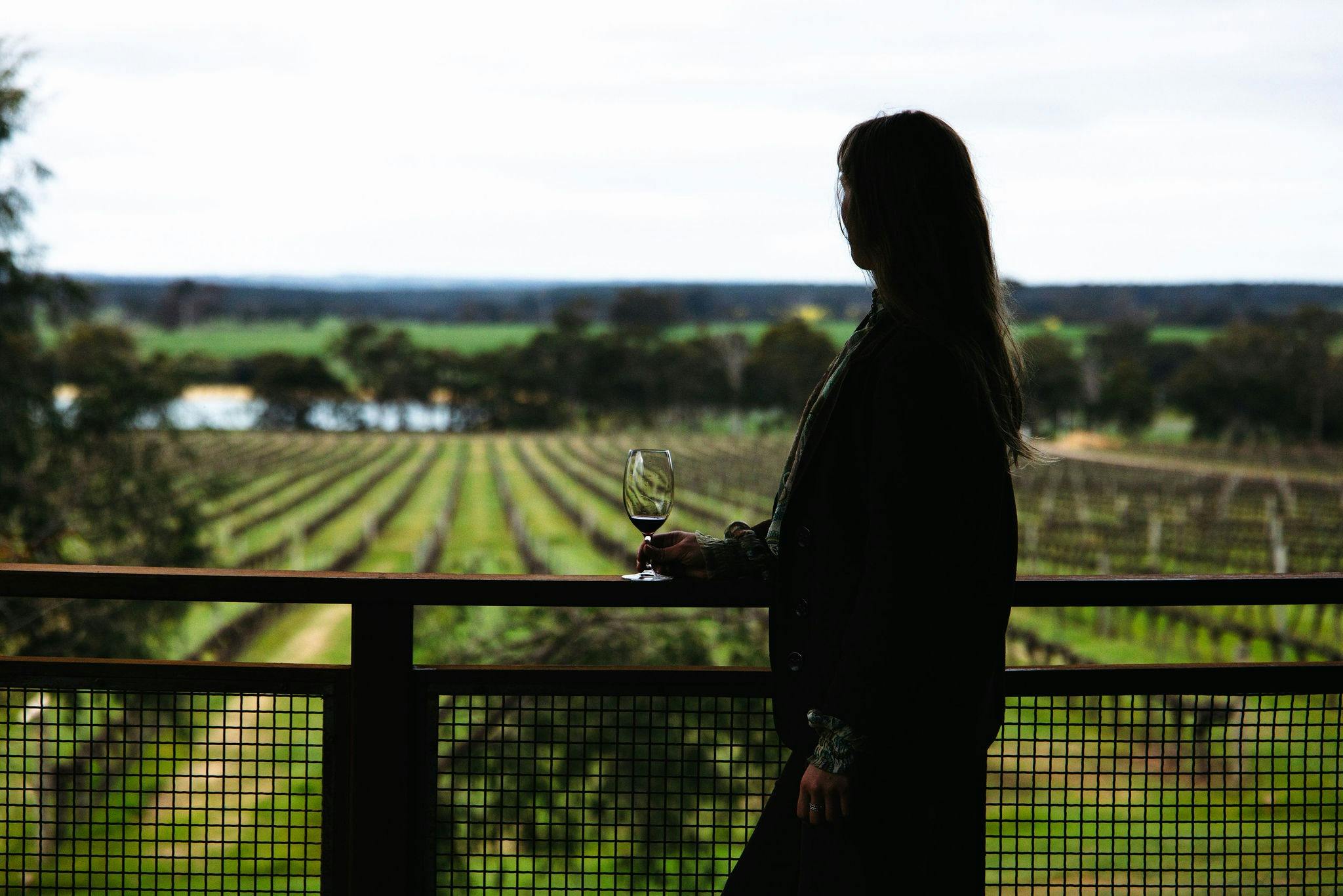 Cellar door view from Ferngrove Wines