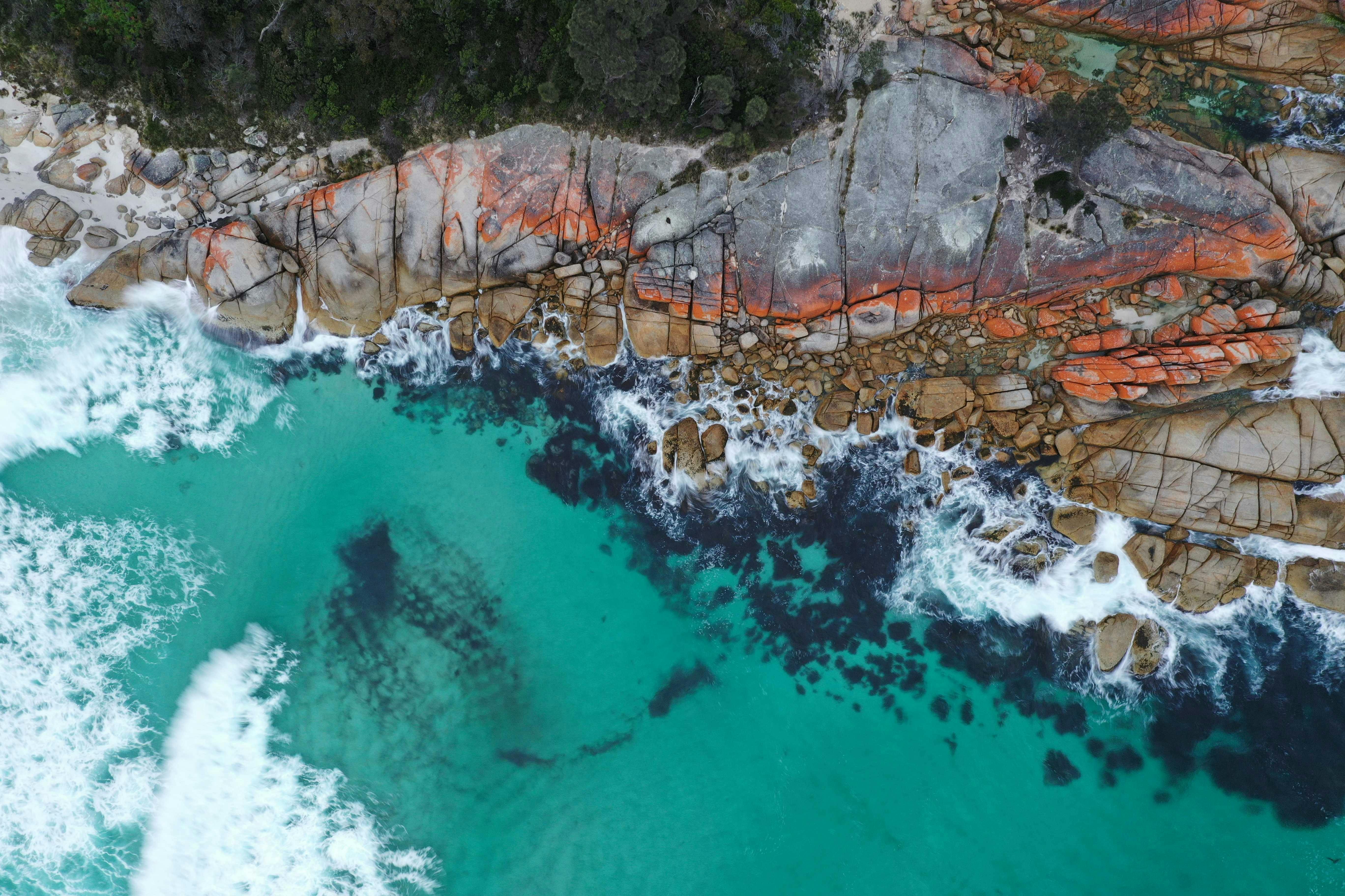Orange lichen covered rocks at Bay of Fires