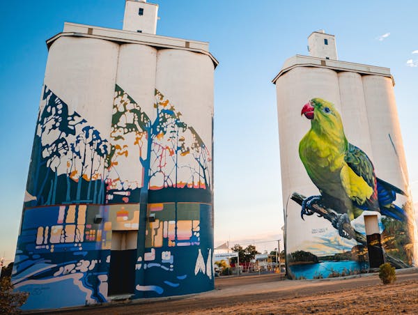 Waikerie Silo Art