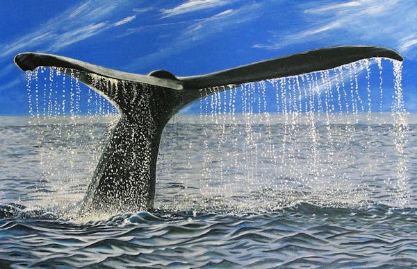 Exhibition: "Sea Creatures Great & Small"