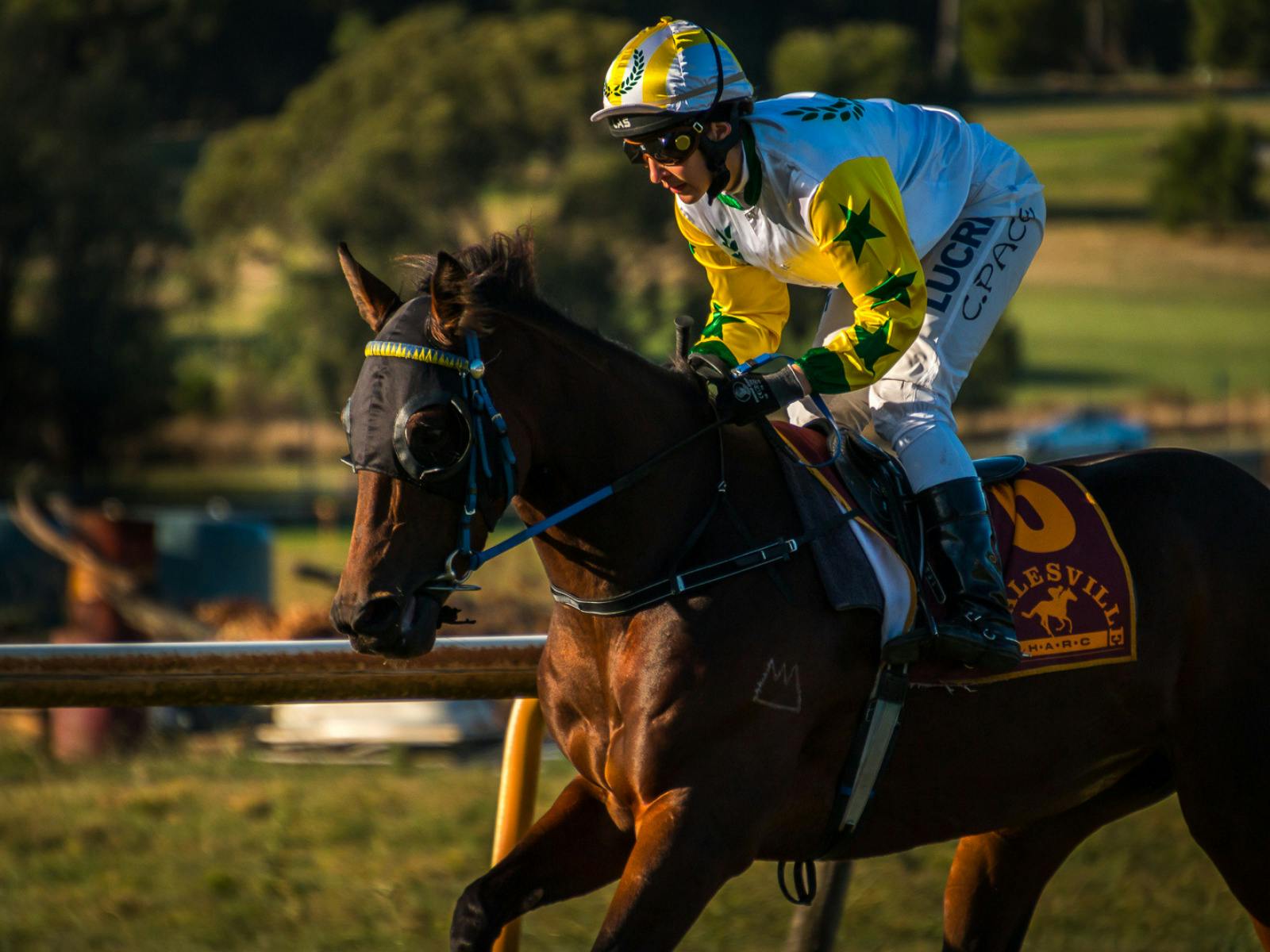 Healesville Races