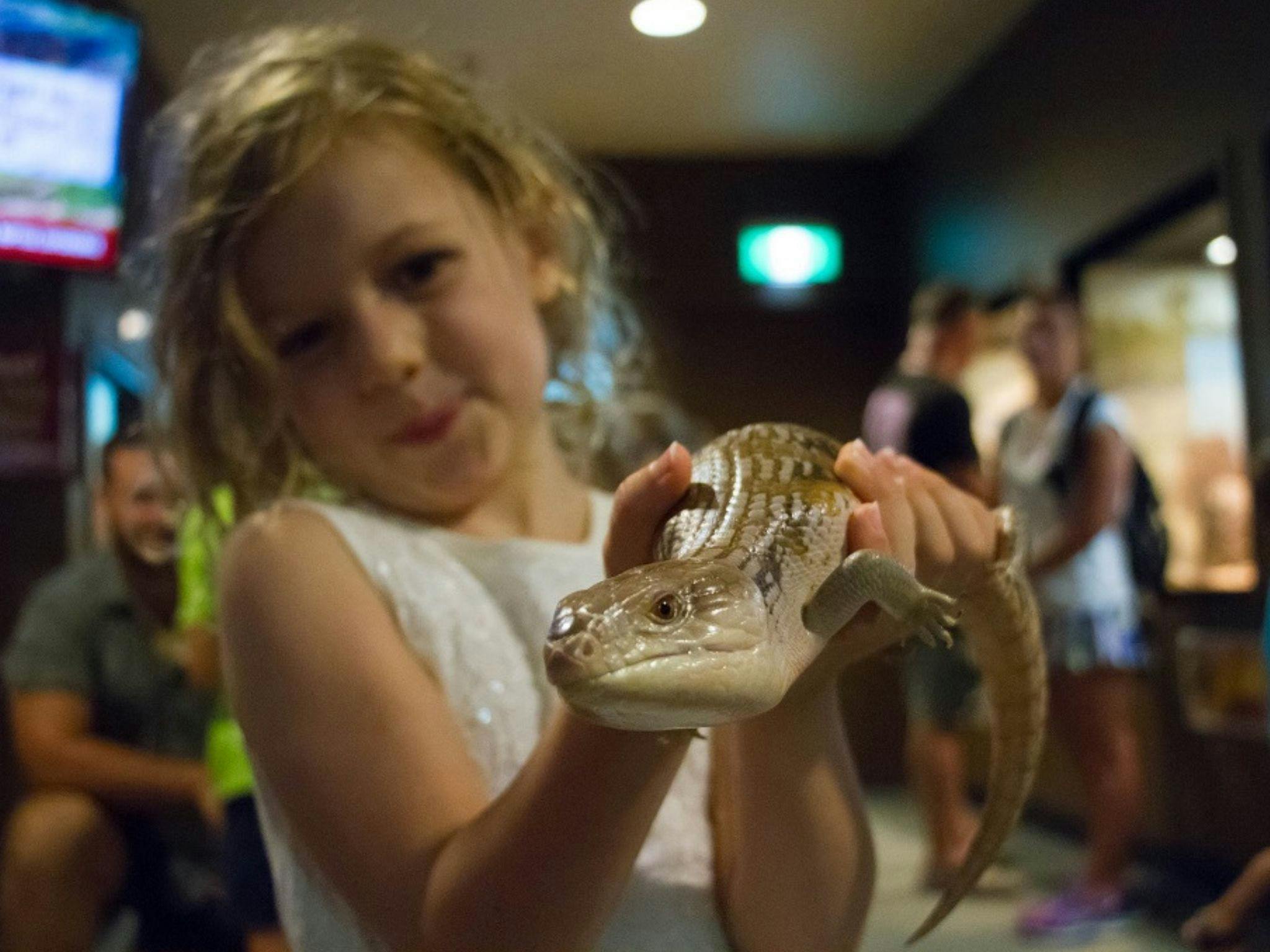 Crocosaurus Cove Meet the Reptile Show