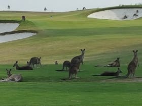 The Eastern Golf Club