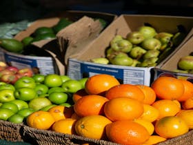 Cleveland Markets