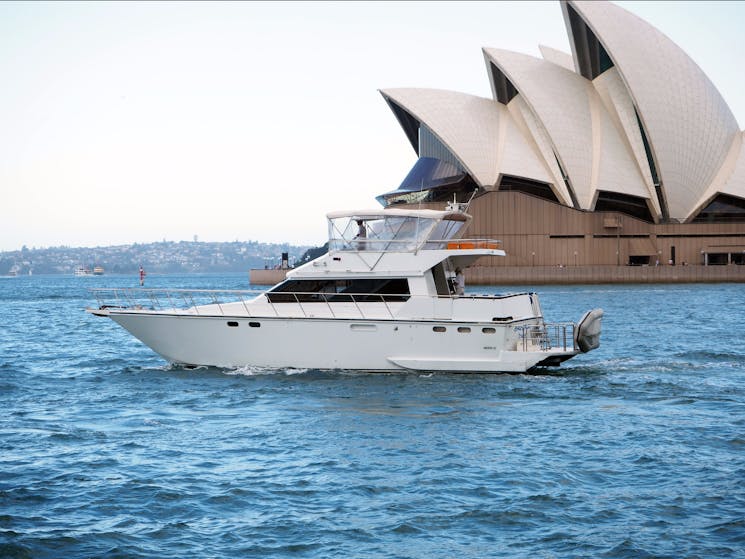 Sensational Sydney Cruises Sydney, Australia Official Travel