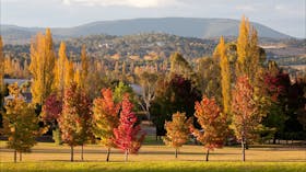 Armidale Arboretum