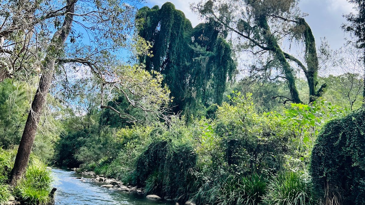 Logan river