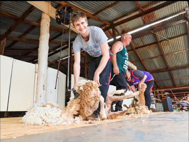 Image for Barellan Show