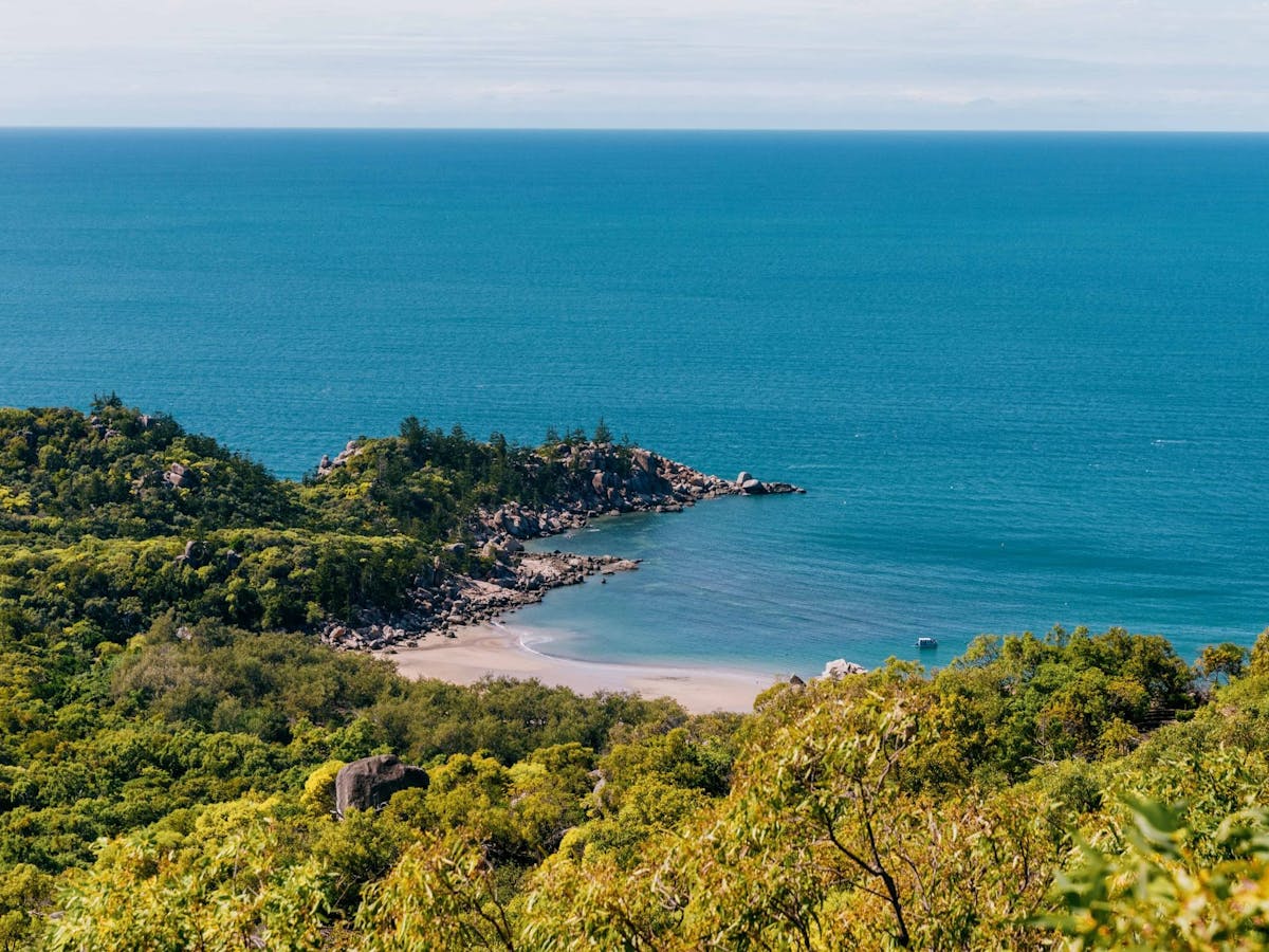 Looking out over the tops of green trees, grey boulders sticking up in places and down to the ocean