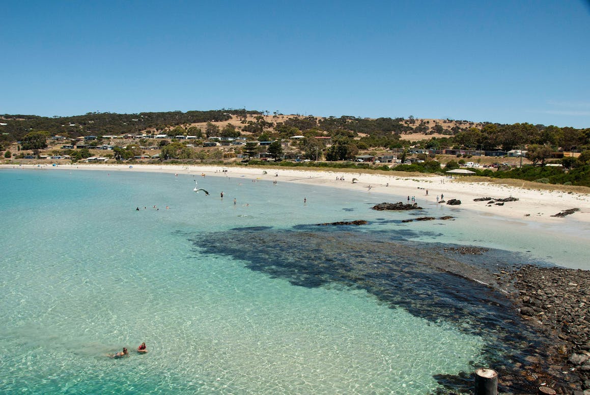Penneshaw Market • Kangaroo Island, South Australia