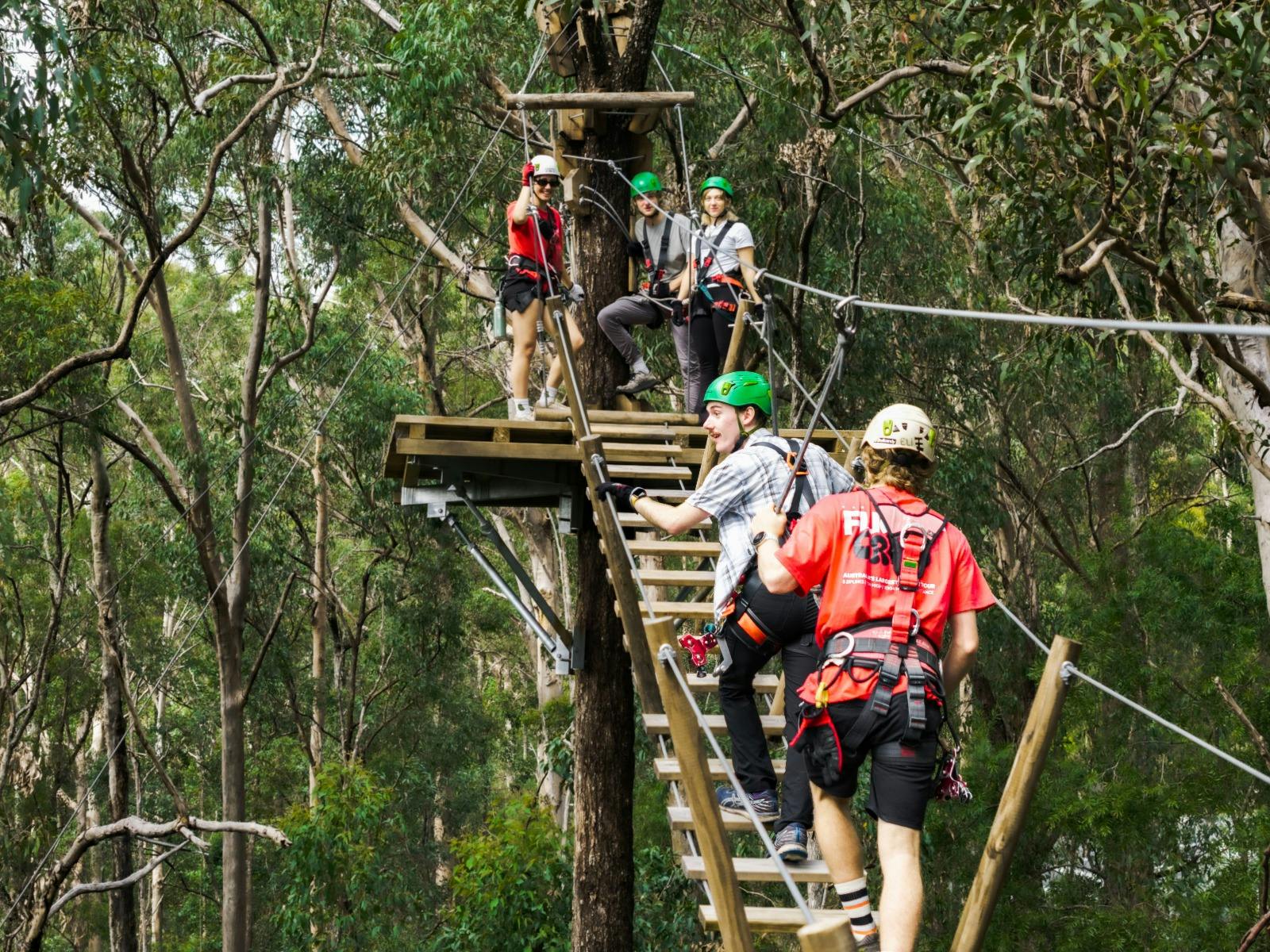 Take in the views! We have 4 suspension bridges during the tour to get you to the next zipline!