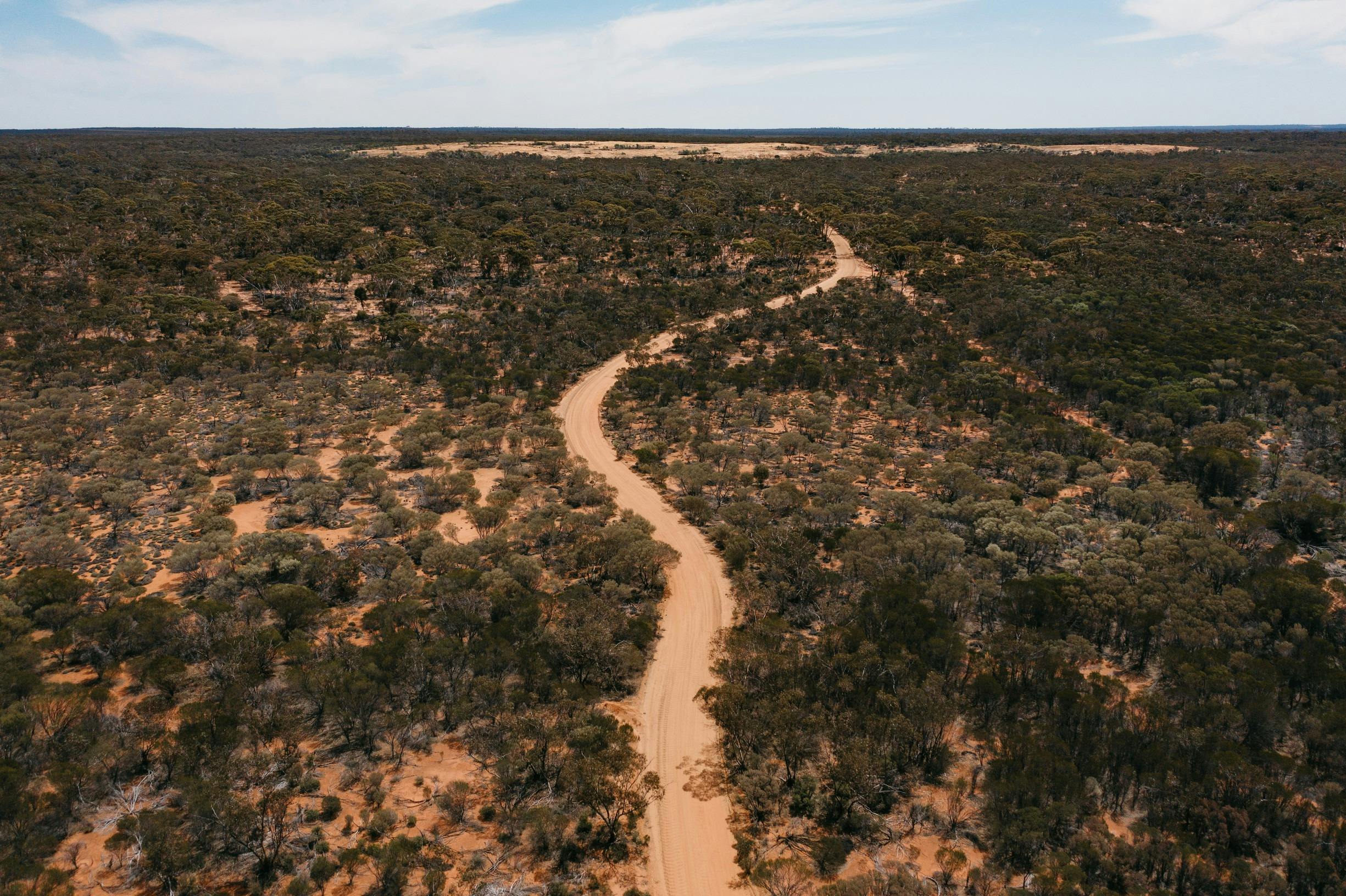 Southern Cross image