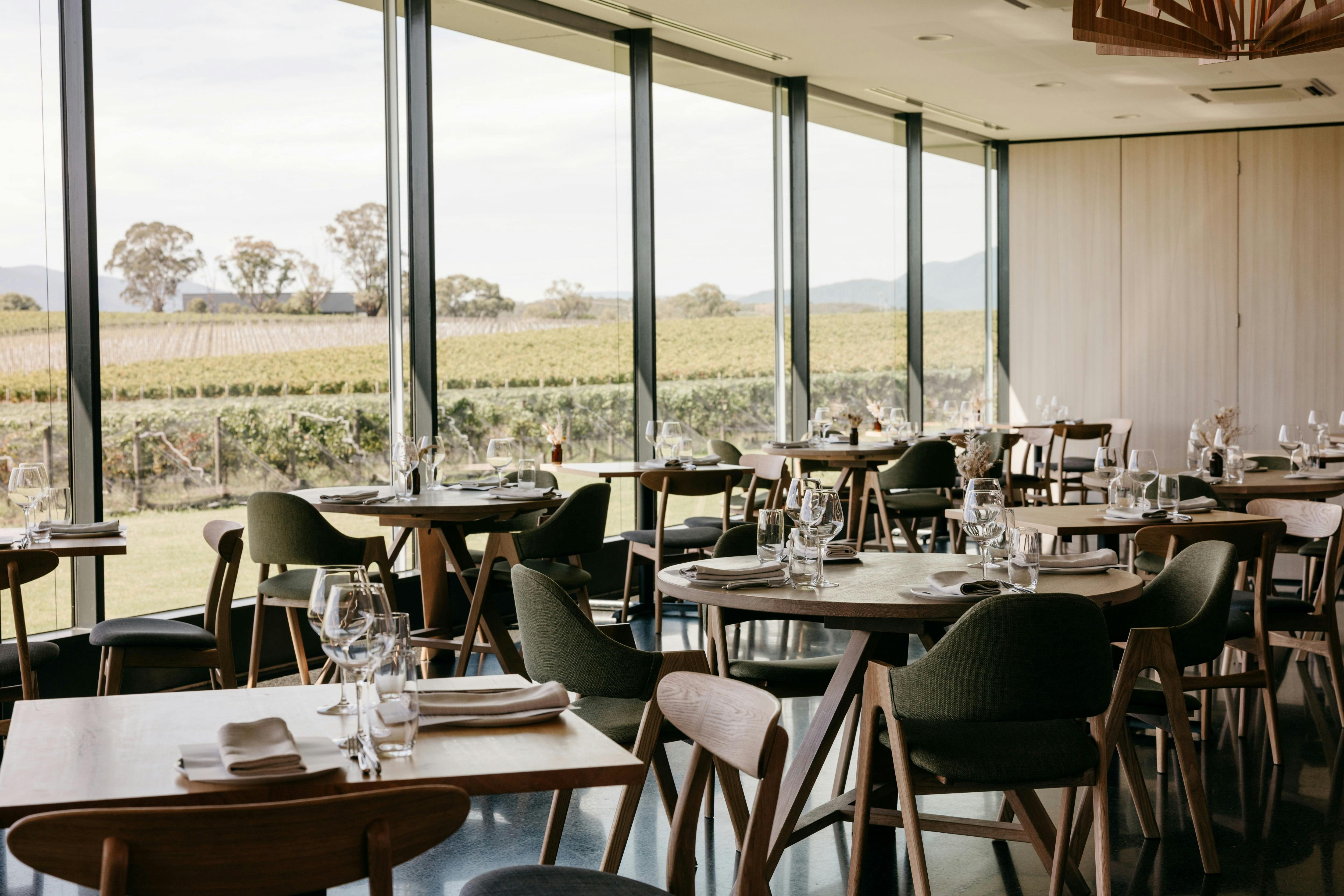 The interior of Oakridge Restaurant, with elegant wooden chairs and a view of the vineyard