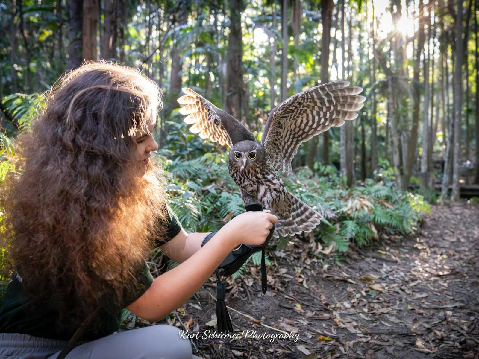 Buderim Owl Encounter Free Flight Experience Birds of Prey Buderim Owl Encounter Free Flight Experience Birds of Prey