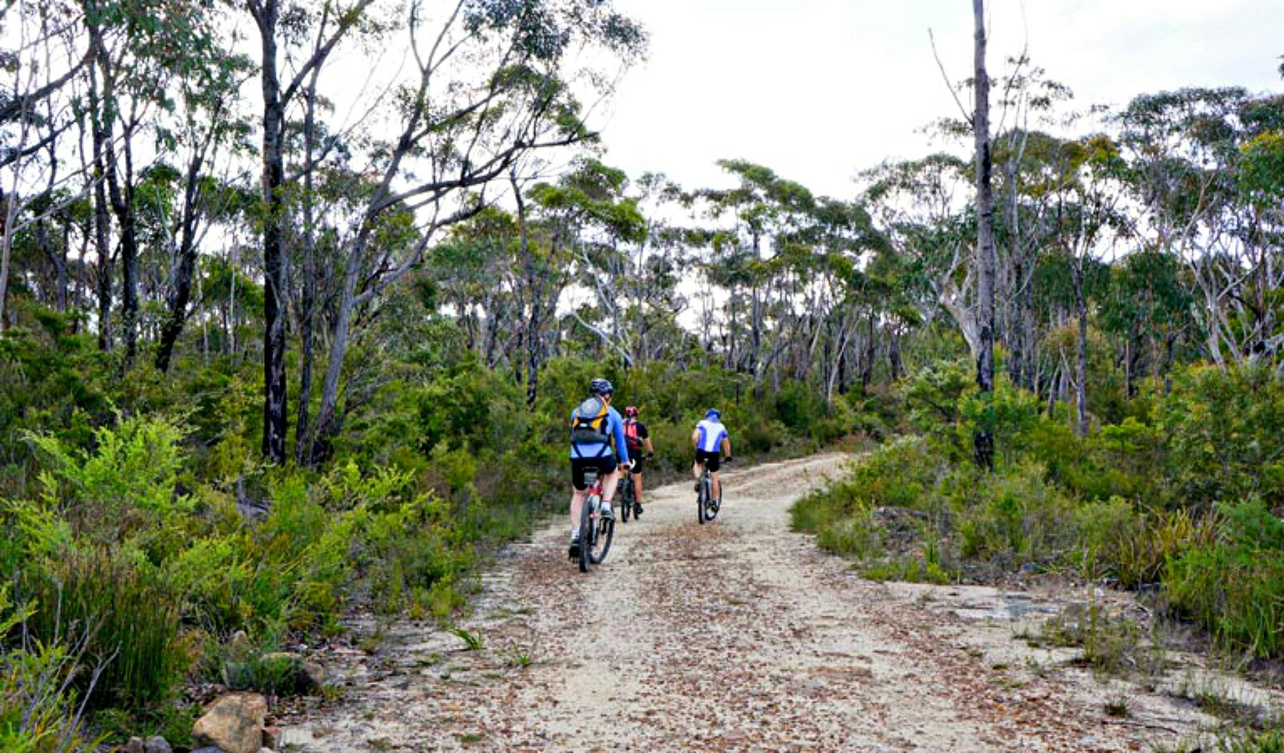 Woodford – Oaks Trail | NSW Holidays & Accommodation, Things to Do