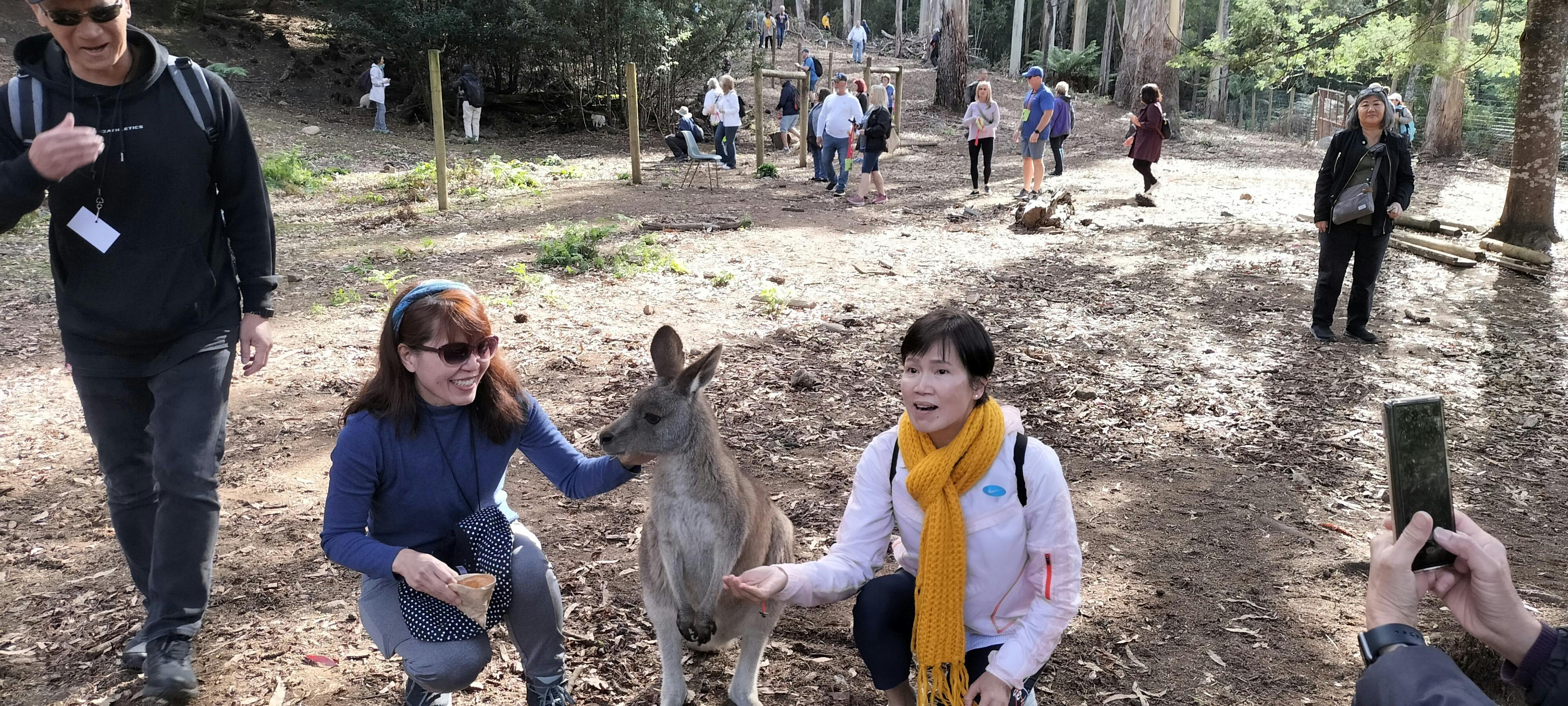 Tour Guests