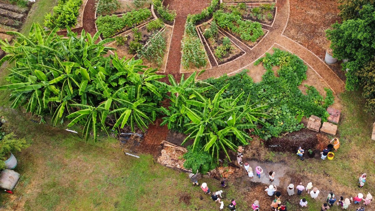 drone image of Green Thumb Farm mandala garden