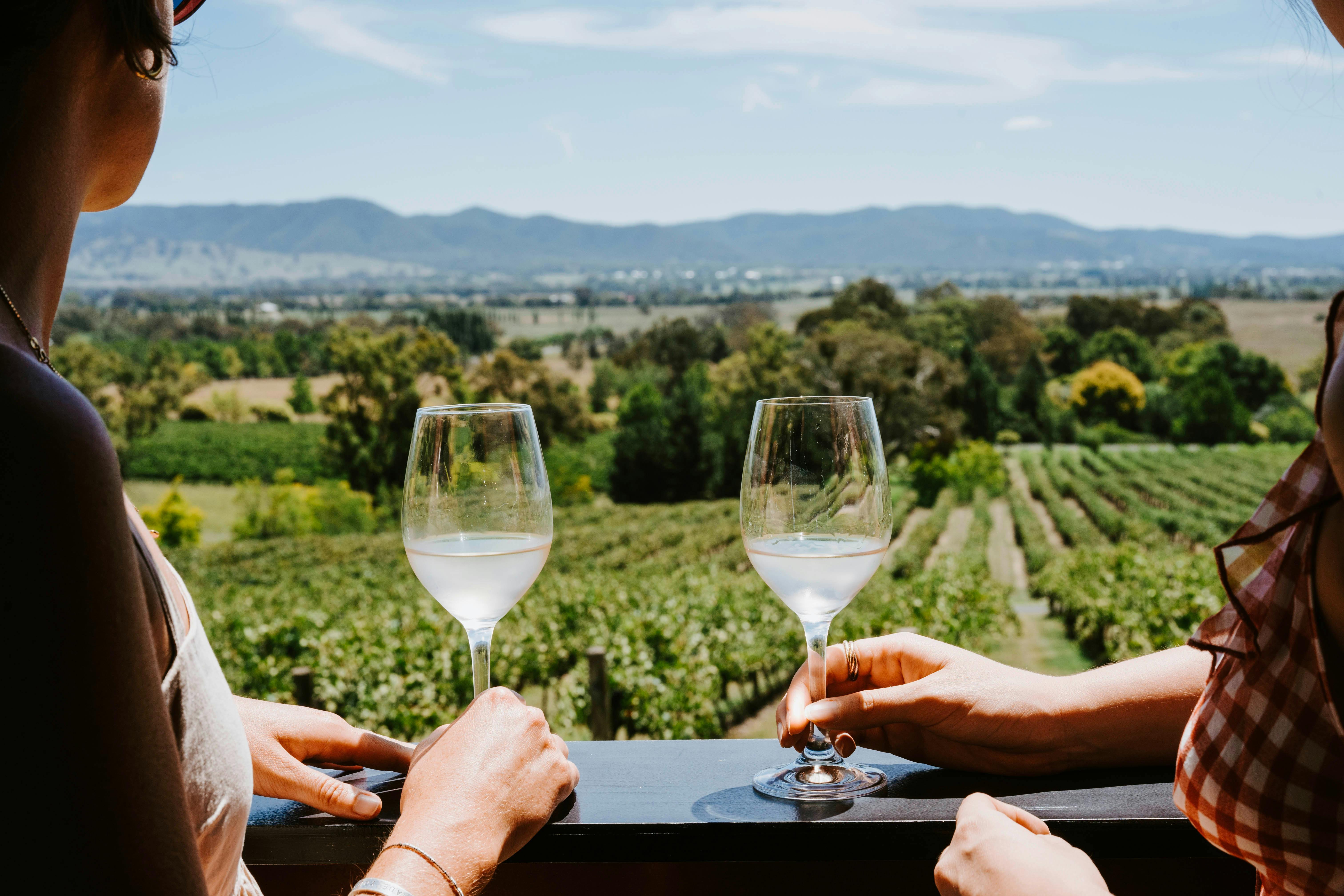 Enjoy a memorable First Ridge tasting or glass of wine while taking in the views