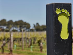 Coonawarra Walking Trail