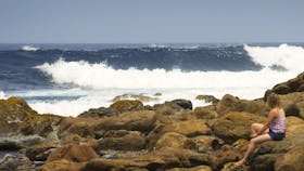 Stokes National Park