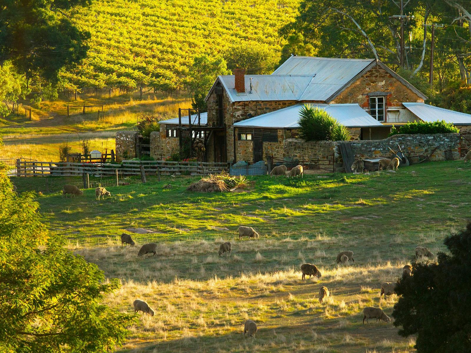 Hutton Vale Farm Produce