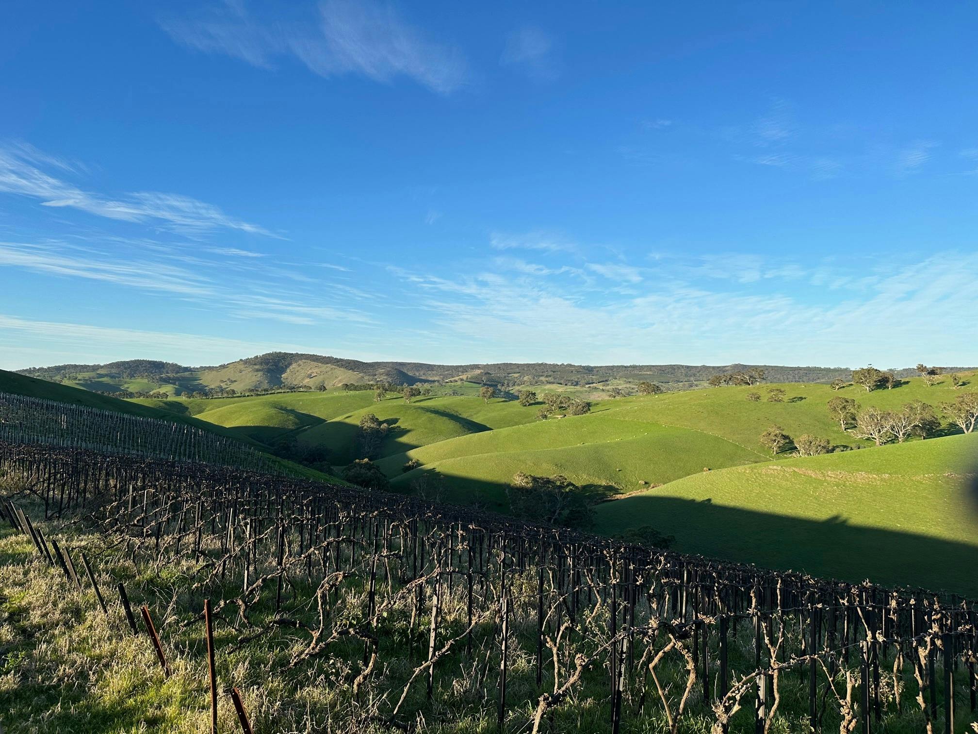 Barossa Valley