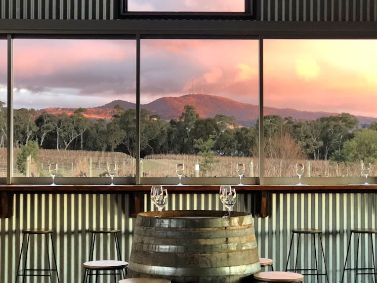 A tasting experience with views across the  vines