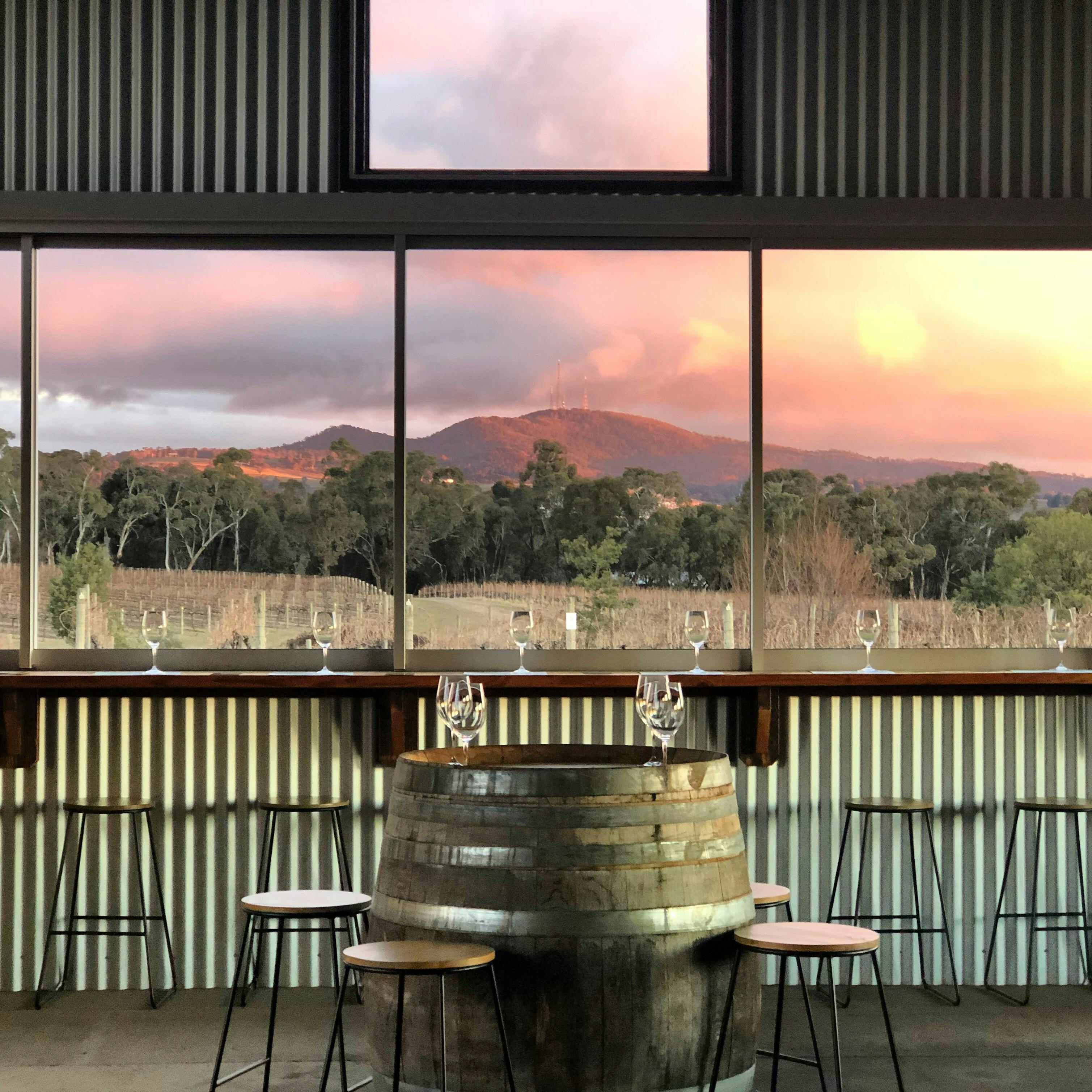 A tasting experience with views across the  vines