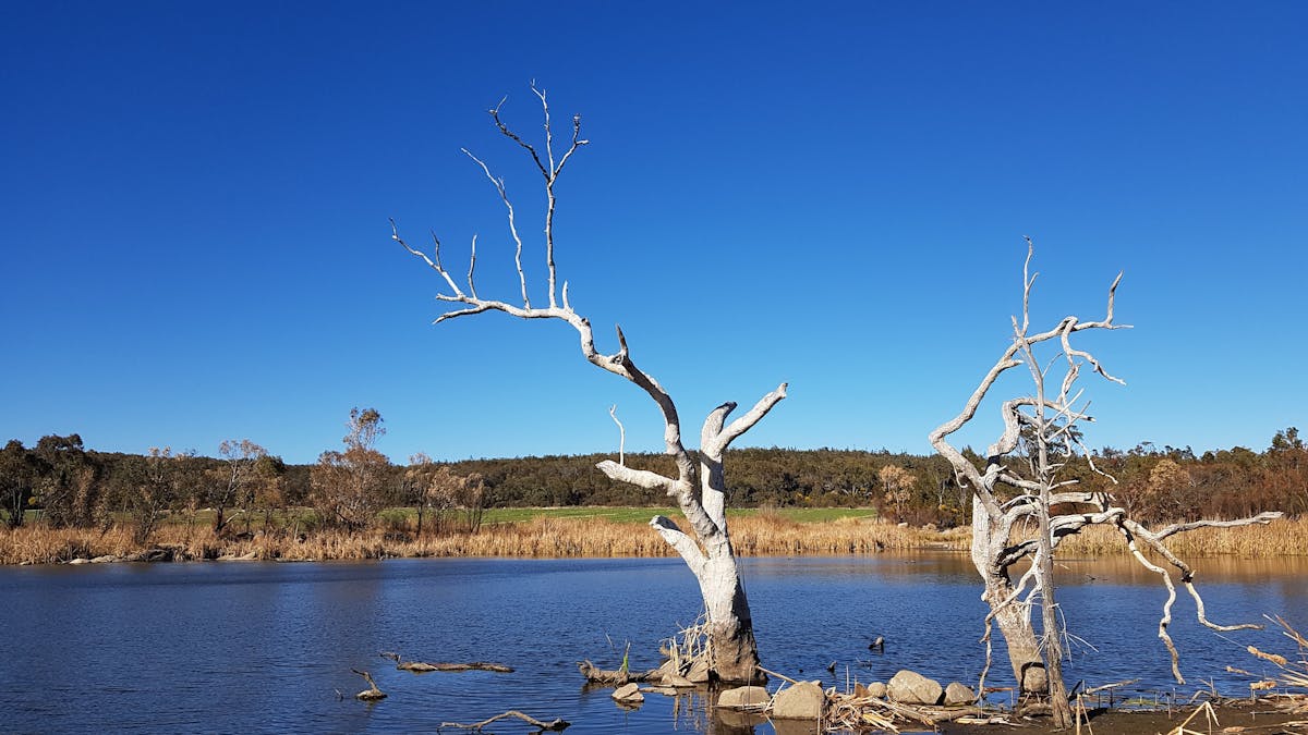 Water views, birdlife, photography, swimming