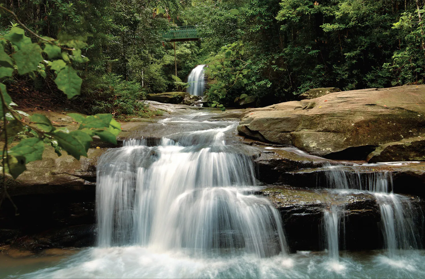 Buderim Falls Sunshine Coast