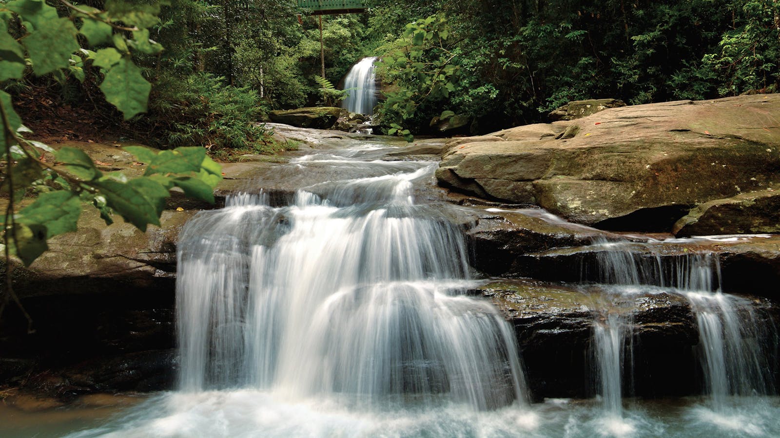 Buderim Falls