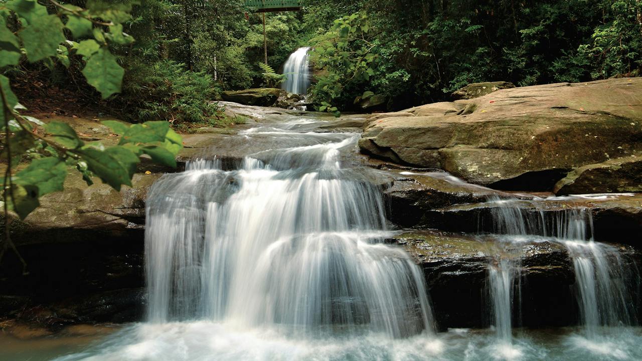 Buderim Falls