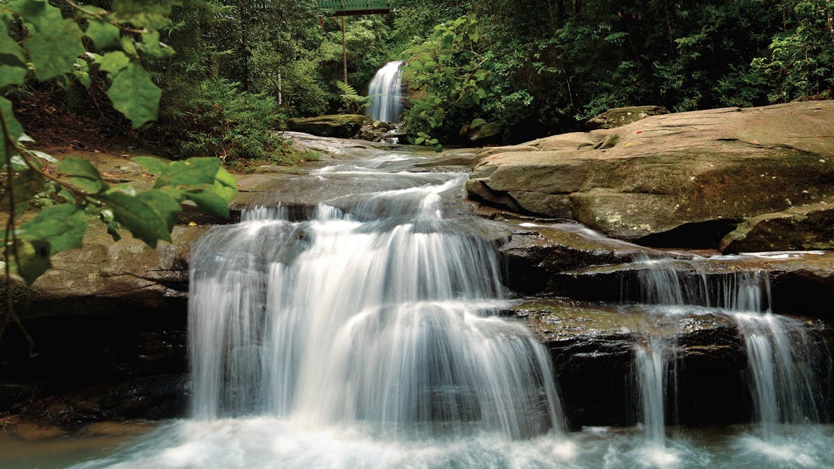 Buderim Falls Sunshine Coast Buderim Falls Sunshine Coast