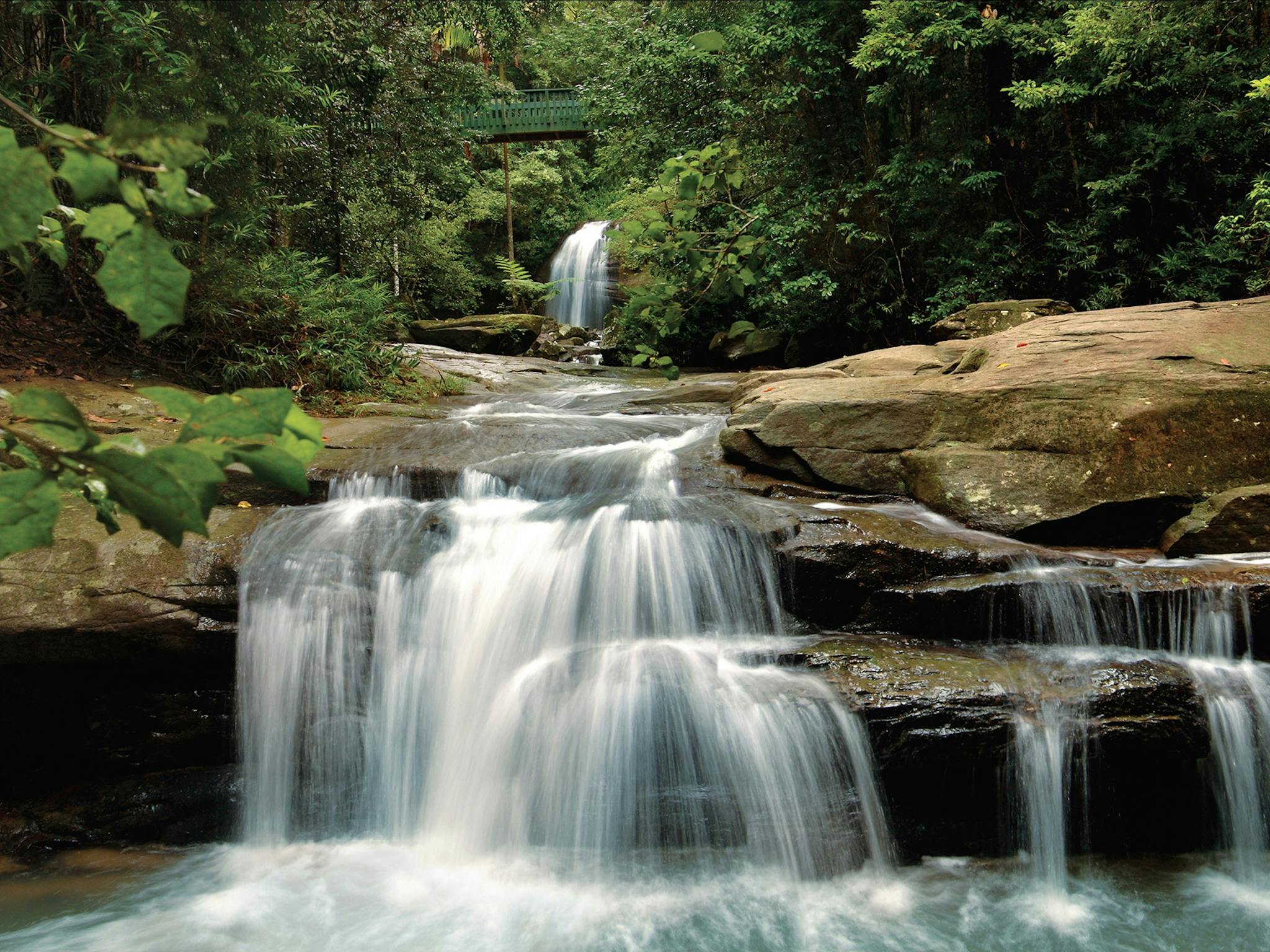 Buderim Falls Sunshine Coast