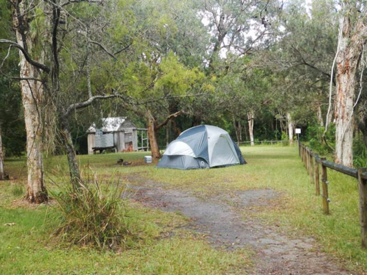 Kylies Hut Walk-in campground, Crowdy Bay National Park. Photo: Debby McGerty