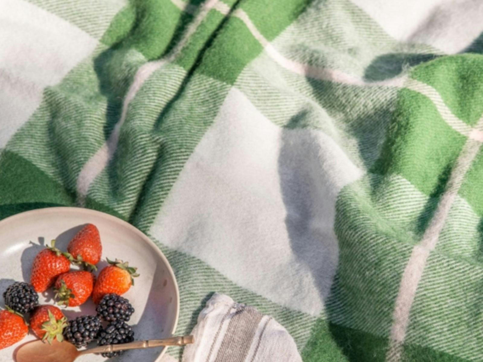 Bright green and white checked picnic blanket with bowl of berries and spoon