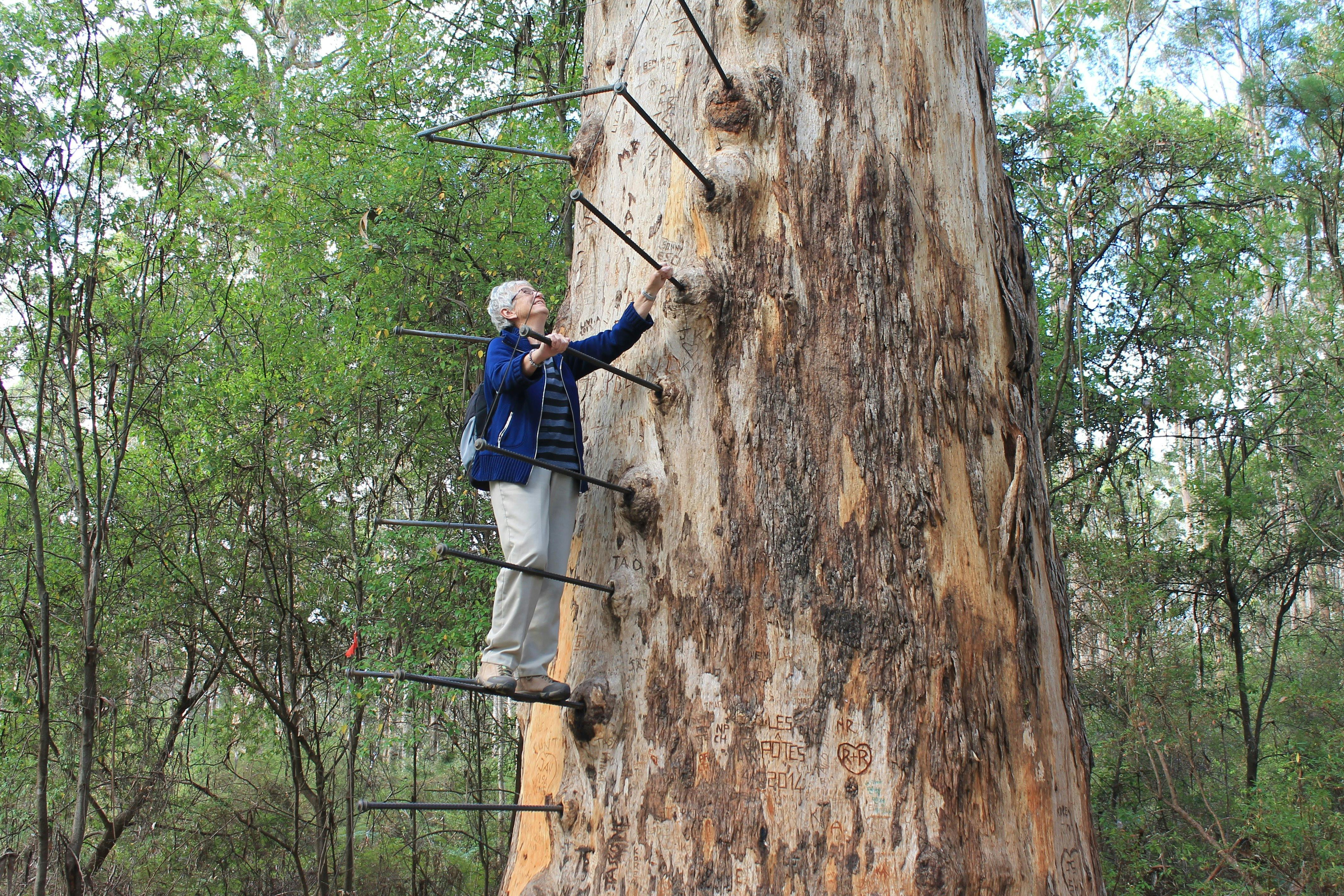 Sacred Heart Safaris, Western Australia