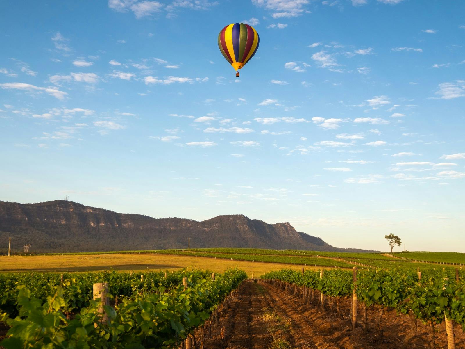 Hunter Valley Winery