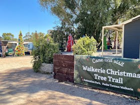 Waikerie Christmas Tree Trail Cover Image