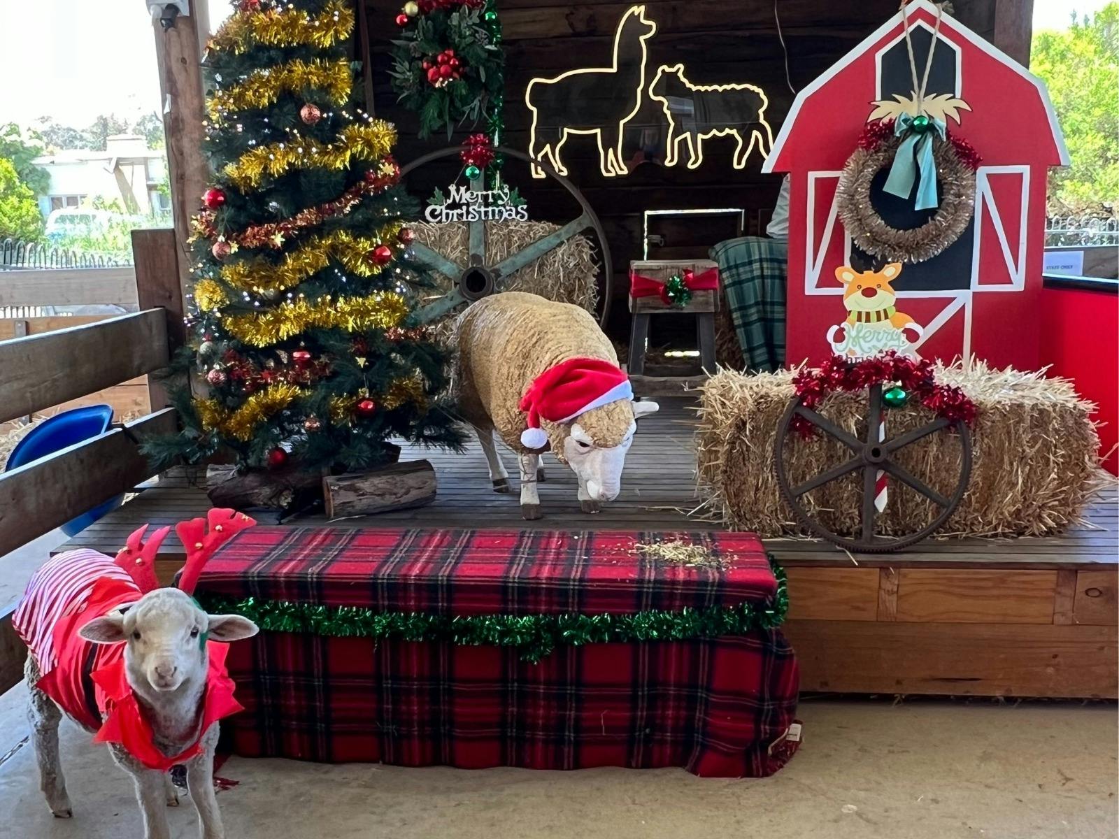 TAKE A CHRISTMAS SELFIE AT CRESWICK