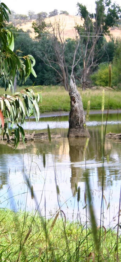 Tumut Wetlands Snowy Valleys NSW