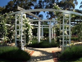 Old Parliament House Gardens