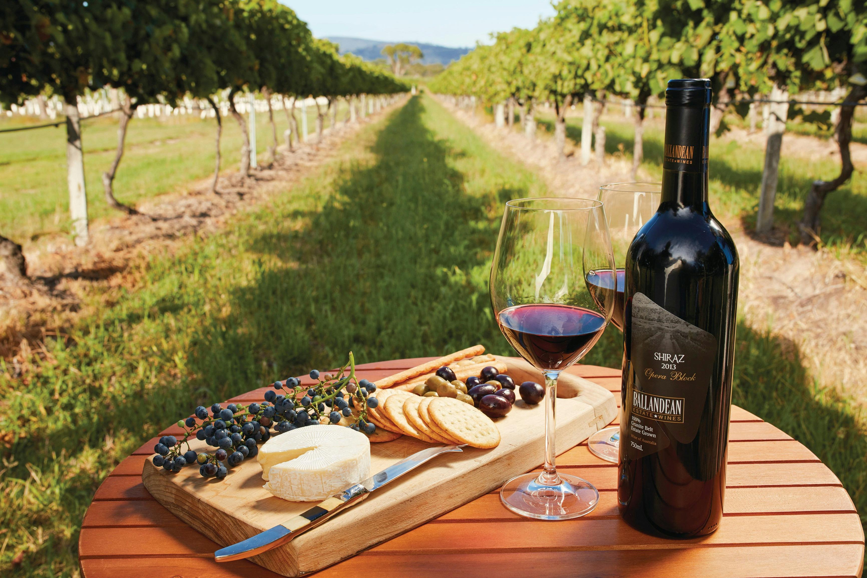 A selection of wine and cheese in a vineyard