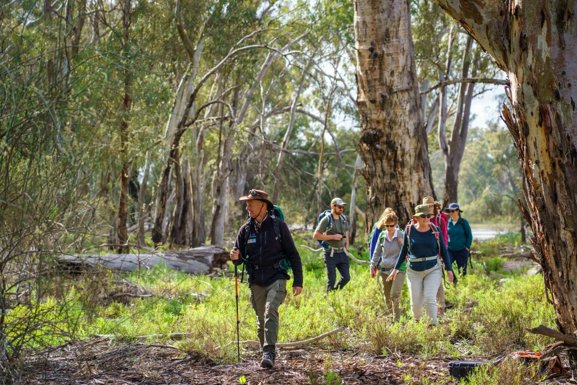 Guide leading a Murray River Walk