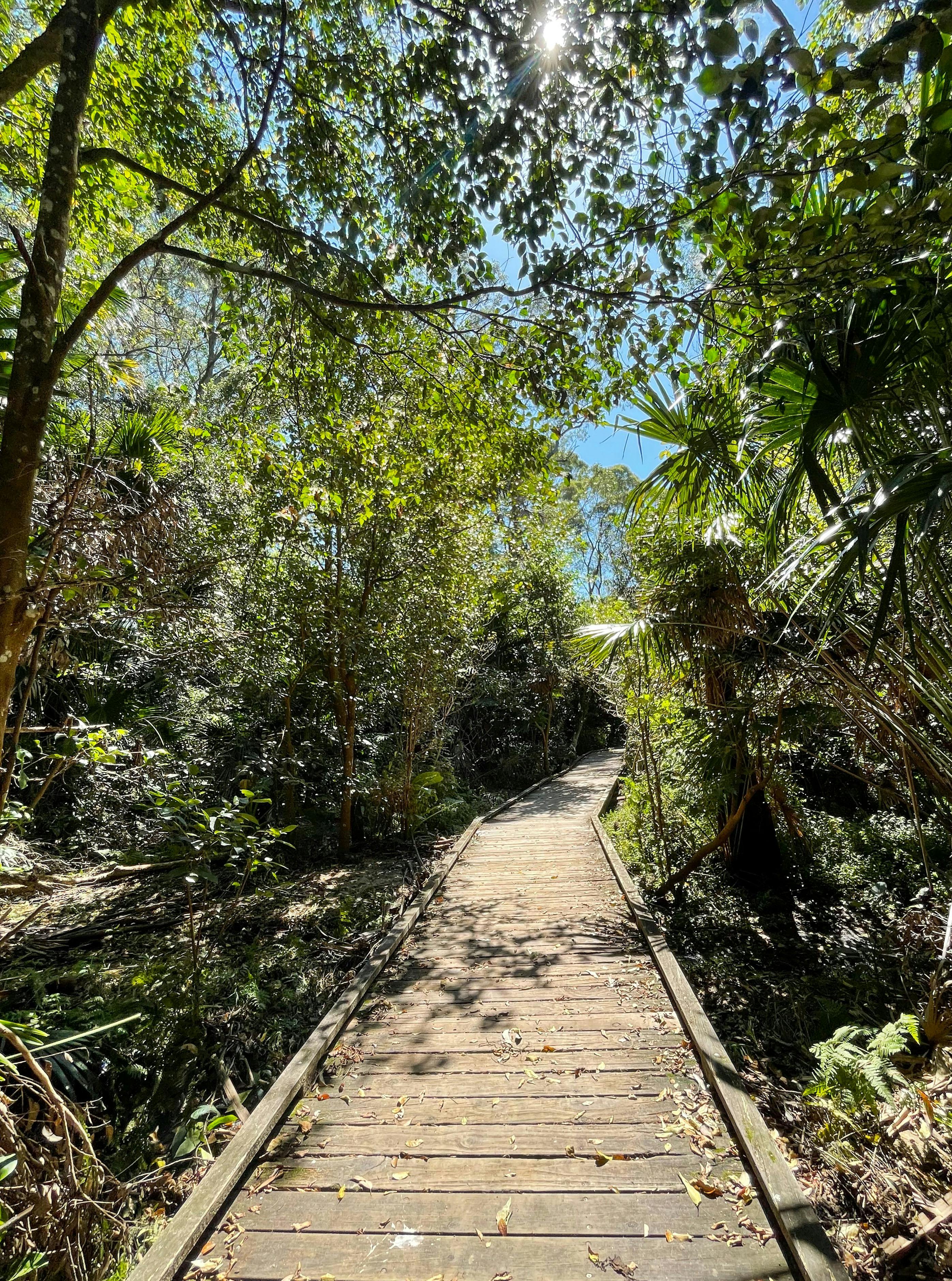 Warriewood wetlands walkway