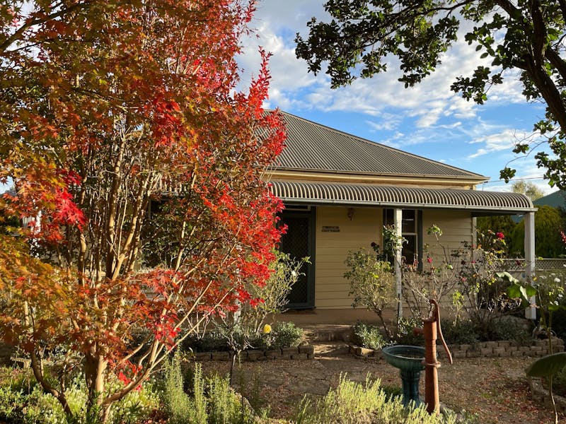 Autumn colours