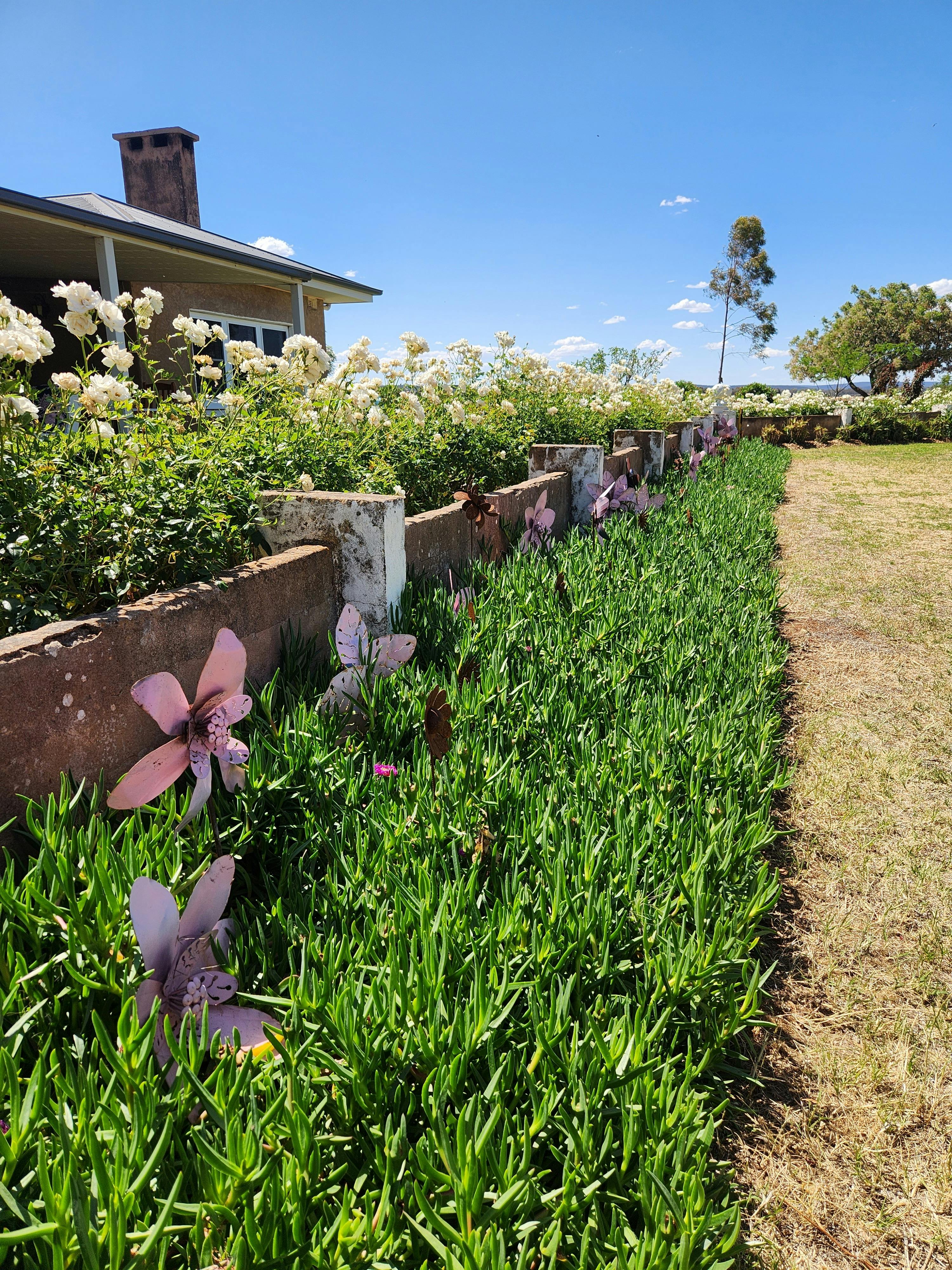 Past Narrandera Garden Club - Open Day