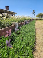 Past Narrandera Garden Club - Open Day