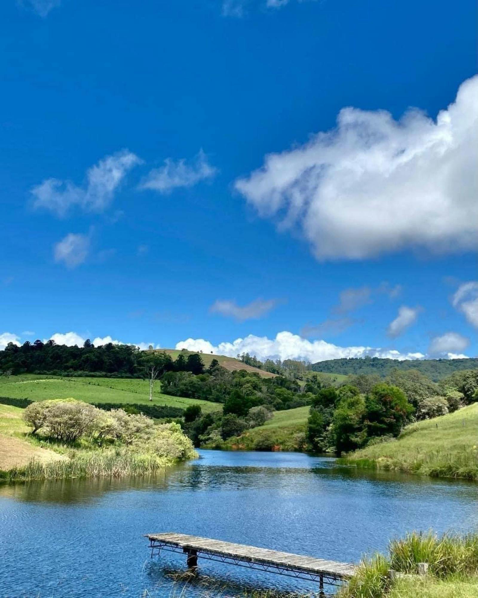 농장의 넓은 전망