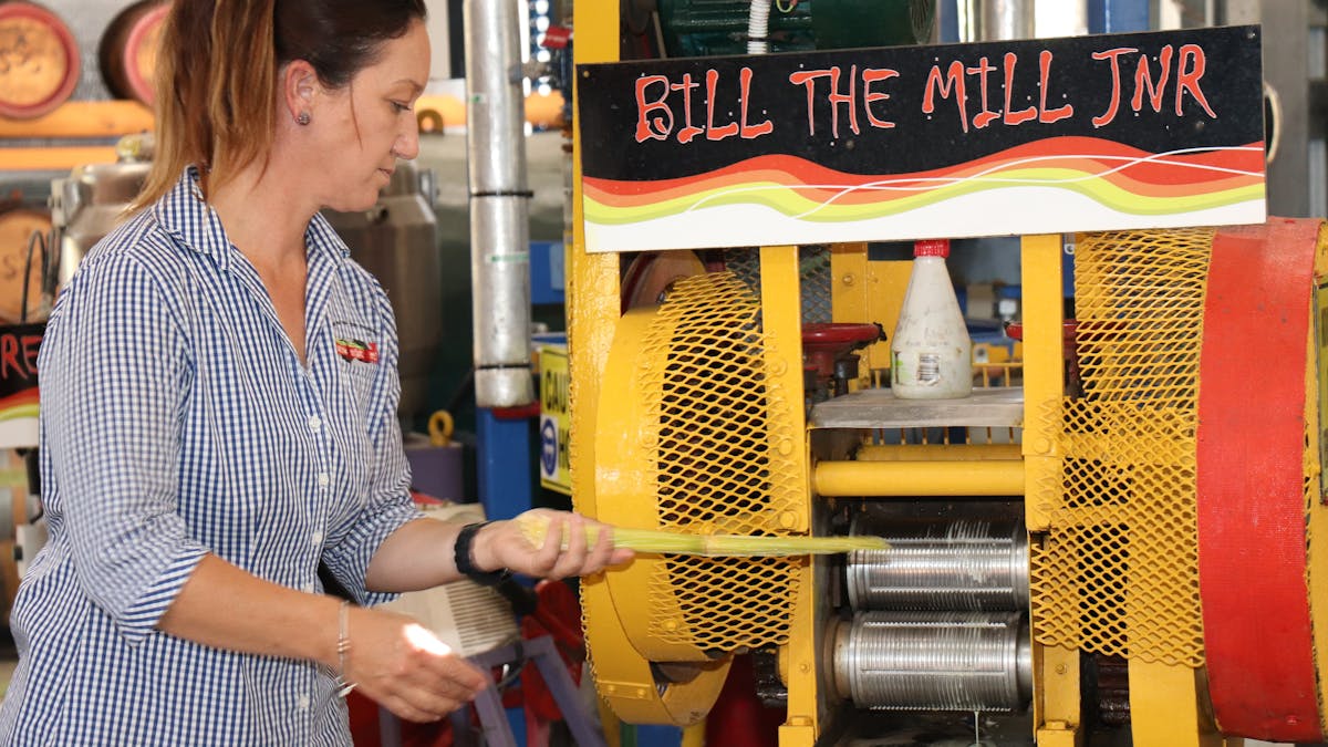 Crushing Sugar Cane for fresh juice at Sarina Sugar Shed on Taste of the Tropics Daily Guided Tours